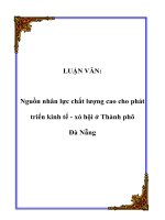 luận văn tốt nghiệp Nguồn nhân lực chất lượng cao cho phát triển kinh tế  xã hội ở thành phố đà nẵng
