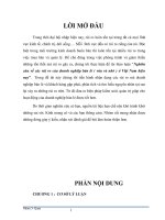 Quản trị rủi ro, Nghiên cứu về các rủi ro của doanh nghiệp bán lẻ ( vừa và nhỏ ) ở Việt Nam hiện nay