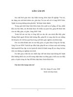 luận văn đại học sư phạm hà nội Vai trò, tác dụng của mô hình chăm sóc giáo dục Trẻ em mồ côi ở Làng SOS Vinh- Nghệ An trong những năm gần đây