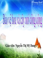 bảo vệ cây và hoa nơi công cộng ( tiết 2)