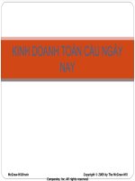 Kinh doanh toàn cầu hiện nay  toàn cầu hóa (free)