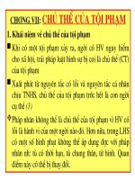 Bài giảng Luật hình sự Việt Nam-Chương 7 Chủ thể của tội phạm