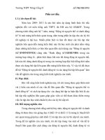 SKKN Dạy động từ nguyên thể và danh động từ một cách hiệu quả cho học sinh khối 12 Chương trình chuẩn