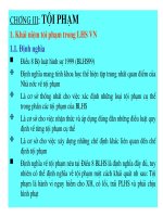 Bài giảng Luật hình sự Việt Nam-Chương 3 Tội phạm