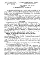 Báo cáo Sơ Kết học kỳ 1 năm học 2010- 2011