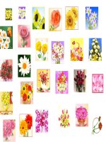 mot so anh dong va cac bieu tuong