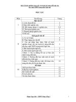 SKKN Một số kinh nghiệm trong việc rèn luyện kỹ năng diễn đạt cho học sinh THPT trong môn Ngữ Văn