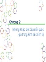 Những khác biệt của mỗi quốc gia trong kinh tế thị trường (free)