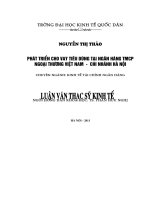 Phát triển Cho vay tiêu dùng tại Ngân hàng TMCP Ngoại thương Việt Nam – Chi nhánh Hà Nội