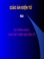 Bài Sự phân hạch