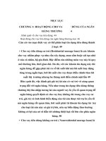 Mở rộng hoạt động cho vay tiêu dùng tại Ngân hàng TMCP Ngoài quốc doanh