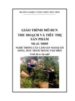 Giáo trình thu hoạch và tiêu thụ sản phẩm   mđ05  trồng cây lâm sản ngoài gỗ song, mây trám trăng táo mèo