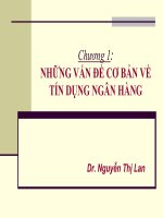 Bài giảng nghiệp vụ ngân hàng  chương 1   nguyễn thị lan
