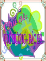 Tranh Chuyện: CĐ Quê hương - Bác Hồ.