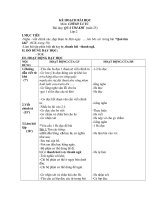 QUẢ TIM KHỈ  (tuần 25)