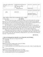 Đề thi Giữa HK II Lớp 4