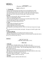 CHỦ ĐỀ; THỰC VẬT.doc