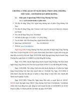 Giải pháp nâng cao chất lượng hoạt động cho vay đối với khách hàng cá nhân tại ngân hàng TMCP Công Thương Việt Nam – Chi nhánh KCN Bình Dương