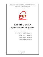hệ thống thông tin quản lý chức năng và các hệ thống tích hợp ứng dụng tại việt nam