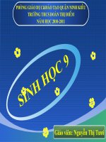 Bài 54 Ô nhiễm môi trường