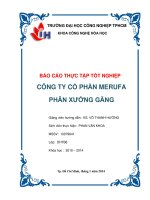 báo cáo thực tập tốt nghiệp công ty cổ phần merufa phân xưởng găng