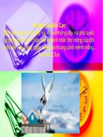 VẺ ĐẸP BẮC CỰC