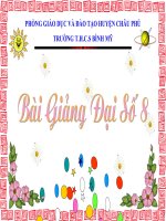 phuong trinh chua an o mau