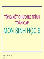 Tong ket chuong trinh toan cap