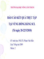 báo cáo kết quả thực tập tại vùng dồng bằng sông cưu long