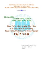 Phát Triển Nông Nghiệp Bền Vững Các Giải pháp Định Hướng Phát Triển Bền Vững Nền Nông Nghiệp VIỆT NAM