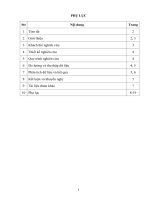 de tai NCKHSPUD nam 2011 mon toan