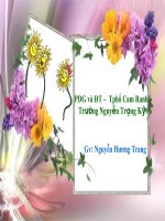 bai 8: sap xep va loc du lieu