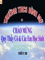 nhen va su da dang cua lop hinh nhen
