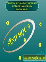 Bài 55 Ô nhiễm môi trường(tt)