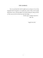 Nghiên cứu thực trạng kinh doanh của thương lái dứa và thanh long, trường hợp nghiên cứu ở hai tỉnh Tiền Giang và Bình Thuận”.