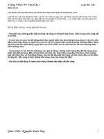 LUAT DA CAU NAM 2010