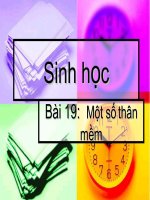 sinh hoc bai 19
