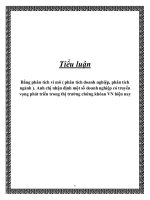 Đề Tài: Bằng Phân Tích Vi Mô (Phân Tích Doanh Nghiệp, Phân Tích Ngành). Anh Chị Nhận Định Một Số Doanh Nghiệp Có Truyển Vọng Phát Triển Trong Thị Trường Chứng Khoán Việt Nam Hiện Nay