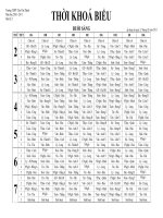 Thời khóa biểu từ tuần 27 (21-02-1011)