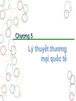 Lý thuyết thương mại quốc tế (free)