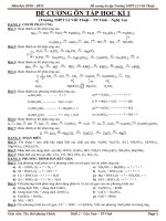 ĐỀ CƯƠNG ÔN TẬP HÓA 11 HKI B