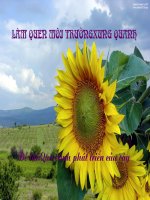 Quá trình phát triển của cây