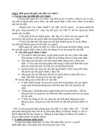 Đề cương ôn tập Mac - Lenin