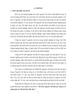 Kế toán nguyên vật liệu tại công ty cổ phần gốm sứ Thanh Hà, Phú Thọ