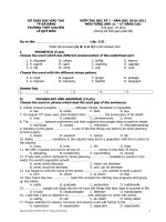 Kiem tra Hoc ky 1 Tieng Anh 11 nang cao