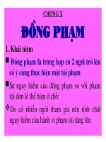 Bài giảng Luật hình sự Việt Nam-Chương 10 ĐỒNG PHẠM
