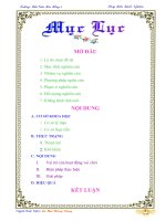 sáng kiến kinh nghiệm Một vài biện pháp tổ chức tốt Hoạt Động Vui Chơi cho trẻ