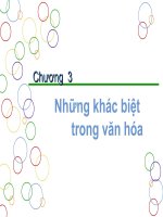 Những khác biệt trong văn hóa (free)