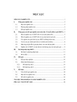 Tổng quan các kết quả nghiên cứu trước đây về truyền dẫn tỷ giá (ERPT)