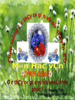 bai 66 lop 1 uom uom